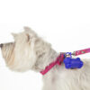 Ref. VA-810-2 Dispensador de Bolsas Bone - Imagen 2