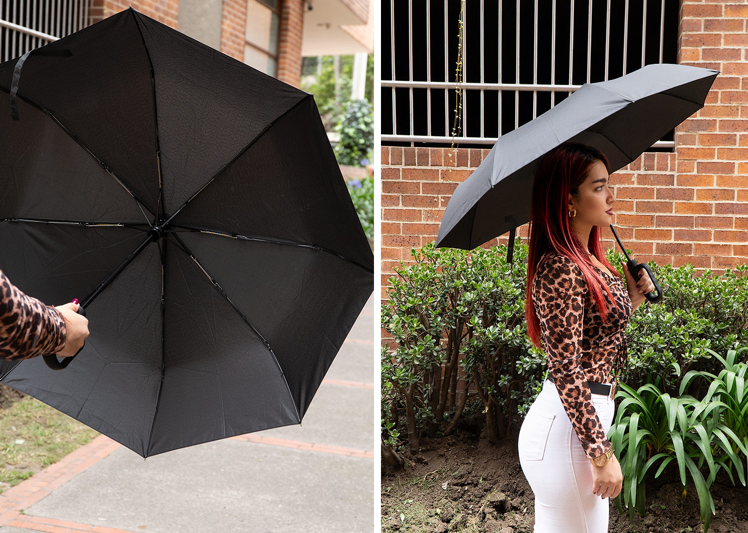 Ref. PA0156 Paraguas 21" Warhol - Imagen 2