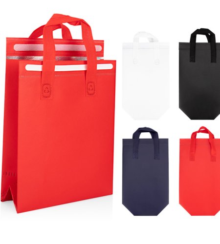 Ref. BO0494 Bolsa Flex